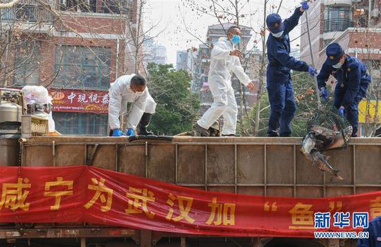 3月13日，一批運到湖北省武漢市硚口區華生漢口城市廣場(chǎng)社區的活魚(yú)在卸貨。當日，首批100噸調配自咸寧市的活魚(yú)運抵武漢市硚口區11個(gè)街道下轄社區。 新華社記者 程敏 攝